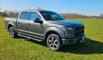 Ford F150 2016 Grijs, Automaat, 450 kg, Overige carrosserieën, 390 pk