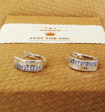 Zilveren oorbellen  beschikbaar voor biedingen