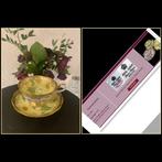 Royal Albert, theekop en schotel, Avon, Antiek en Kunst, Verzenden