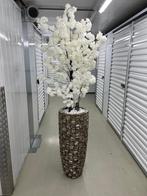 Mooi schelpenvazen met bloesem, Ophalen of Verzenden, Zo goed als nieuw