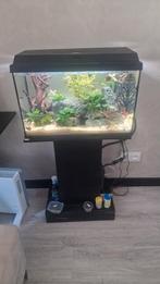 Aqurium 70/80l. Compleet inclusief vissen, Dieren en Toebehoren, Ophalen, Gevuld zoetwateraquarium