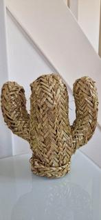 Leuke  nieuwe decoratie  cactus, Ophalen of Verzenden, Nieuw