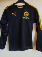 Sweater Borussia Dortmund maat XS (40/42), Maat XS of kleiner, Ophalen of Verzenden, Zo goed als nieuw, Overige typen