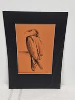 PvL - vogel, Ophalen of Verzenden