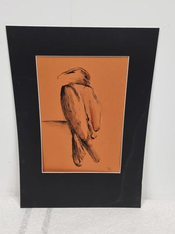 PvL - vogel beschikbaar voor biedingen