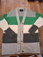 Opus wollen vest - Maat L, Kleding | Dames, Truien en Vesten, Maat 42/44 (L), Ophalen of Verzenden, Zo goed als nieuw, Grijs