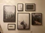 Set foto lijsten met prints ikea 7 stuks, Huis en Inrichting, Woonaccessoires | Lijsten, Ophalen, 50 tot 75 cm, Zo goed als nieuw