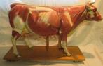 antiek anatomisch model koe met organen uitschuifbaar 21, Ophalen