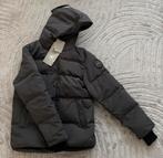 Canada Goose winterjassen, Kleding | Heren, Jassen | Winter, Maat 52/54 (L), Zwart, Canada Goose, Ophalen of Verzenden