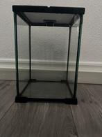 Terrarium 30x20x20, Dieren en Toebehoren, Ophalen, Zo goed als nieuw