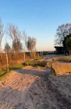 Stalhulp gezocht voor paddock paradise Bergen