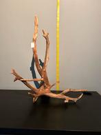 Prachtig stuk Kienhout / Driftwood / Spiderwood #4 Terrarium, Ophalen of Verzenden, Zo goed als nieuw, Plant(en), Steen of Hout