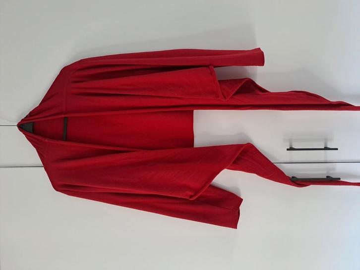 Boris knoopvest maat 2, Kleding | Dames, Truien en Vesten, Ophalen of Verzenden