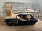 Hamsterkooi met accessoires, Dieren en Toebehoren, Knaagdieren en Konijnen | Hokken en Kooien, Kooi, Minder dan 75 cm, Minder dan 60 cm