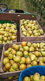 Gieser wildeman stoofperen, Ophalen of Verzenden