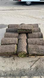 Graszoden 14m2, Tuin en Terras, Gras en Kunstgras, Ophalen, Willems graszoden, Willemsgraszoden@gmail.com, Gras
