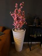Prachtige bloesemboom incl pot, Huis en Inrichting, Woonaccessoires | Kunstplanten en Kunstbloemen, Ophalen