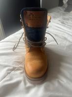 Nieuwe Panama Jack mt 38, Geel, Lage of Enkellaarzen, Nieuw, Ophalen of Verzenden