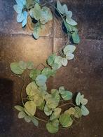 Kunstplant Lianen Slinger, Huis en Inrichting, Woonaccessoires | Kunstplanten en Kunstbloemen, Ophalen