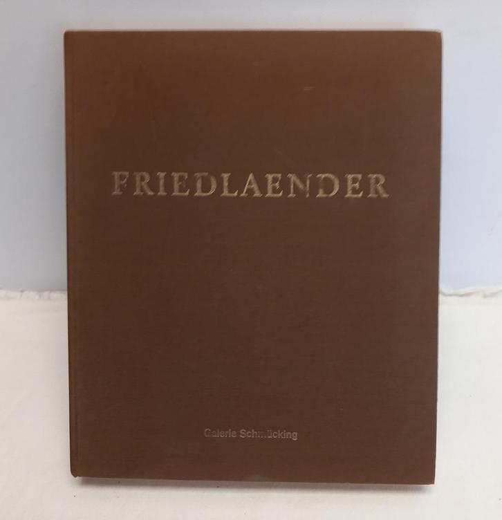 Friedlaender, Boeken, Kunst en Cultuur | Beeldend, Gelezen, Schilder- en Tekenkunst, Ophalen of Verzenden