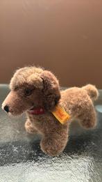 Steiff Teckel 4144/1E met knop en label, Ophalen of Verzenden, Zo goed als nieuw, Hond