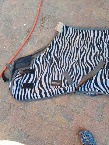Vliegen deken zebra  beschikbaar voor biedingen
