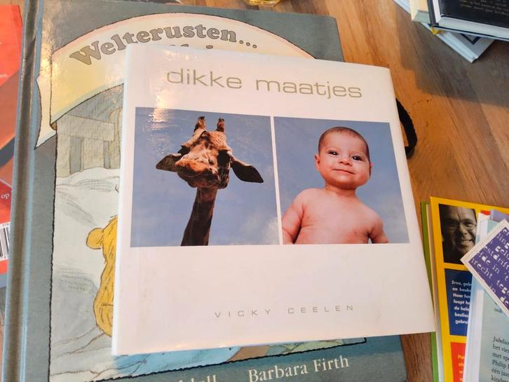 Dikke Maatjes - Vicky Ceelen, Boeken, Kinderboeken | Baby's en Peuters, Zo goed als nieuw, 1 tot 2 jaar, Ophalen of Verzenden