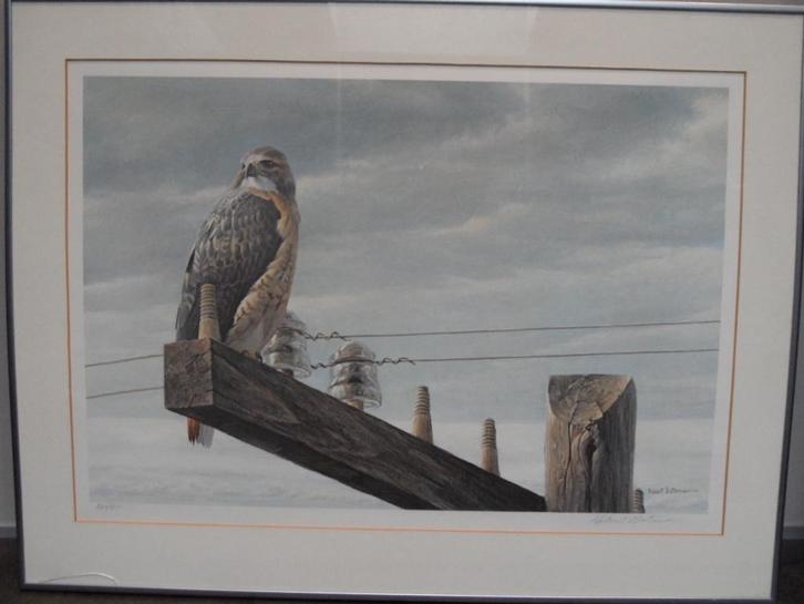 Robert Bateman gesigneerd litho, Antiek en Kunst, Kunst | Litho's en Zeefdrukken, Ophalen of Verzenden