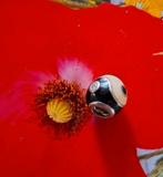 Pandora yin- yang. Nieuwprijs €69, Pandora, Ophalen of Verzenden, Zo goed als nieuw, 1 bedel