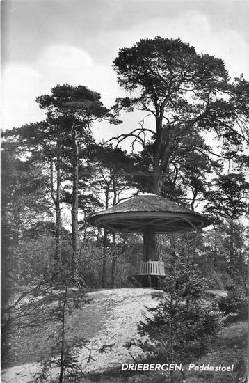 (388-504-013) Driebergen  Paddenstoel beschikbaar voor biedingen