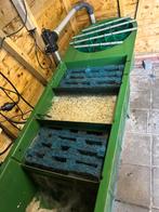 4 kamer filter met vortex, Ophalen, Gebruikt, Vijverfilter
