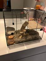 Half glazen hok voor hamster of ander knaagdier, Kooi, Minder dan 75 cm, Zo goed als nieuw, Hamster