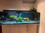 840L Custom Aquarium 200x60x70 – 1cm Acryl – Perfecte Staat, Ophalen of Verzenden, Zo goed als nieuw, Leeg aquarium