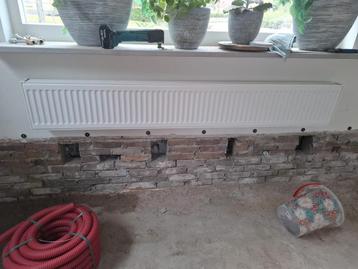 Radiator 200x30 type 21 incl ophanging zgan beschikbaar voor biedingen