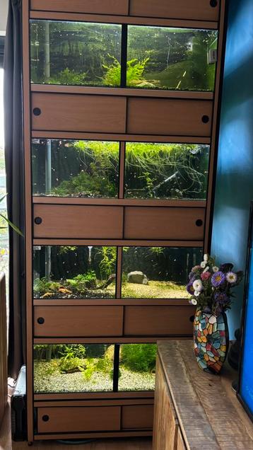 Aquariumstelling /kweekstelling met filter en verlichting beschikbaar voor biedingen