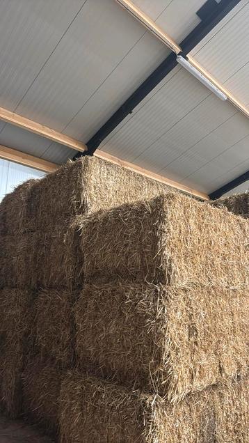 Grote strobalen beschikbaar voor biedingen