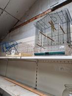 Vogelkooi, Dieren en Toebehoren, Ophalen of Verzenden, Metaal, Vogelkooi