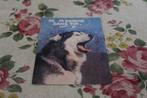 Honden Postkaart - Gapende Siberian Husky, Spreuk, Frankrijk, Verzenden, 1980 tot heden, Ongelopen, Hond of Kat
