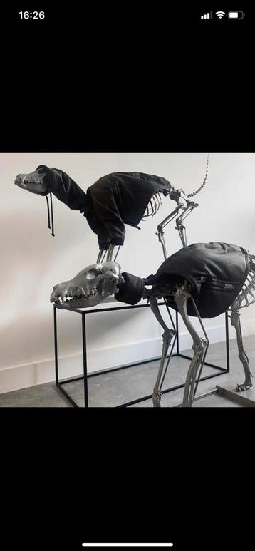 skeleton dogs uit de art of RAW series beschikbaar voor biedingen