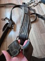 Trekpaard broek voor mennen, Dieren en Toebehoren, Paarden en Pony's | Hoofdstellen en Tuigage, Ophalen of Verzenden