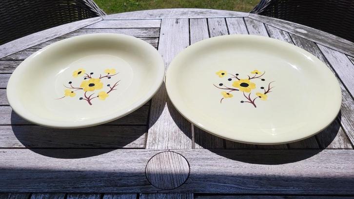 Set van 2 vintage Franse schalen Salins servies Catherine, Huis en Inrichting, Keuken | Servies, Gebruikt, Schaal of Schalen, Aardewerk