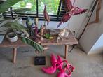 Diverse flamingo's en papegaaien decoratie, Huis en Inrichting, Woonaccessoires | Overige, Ophalen of Verzenden