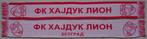 sjaal Hajduk Lion Belgrado, Ophalen of Verzenden, Nieuw, Buitenlandse clubs, Vaantje of Sjaal