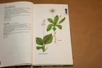 Zakflora voor de duin- en kuststreek, Boeken, Ophalen of Verzenden, Gelezen