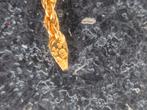 Mooie 22 KT Gouden Rope Chain NU VOOR 999,-!!, Ophalen of Verzenden, Nieuw, Goud, Goud