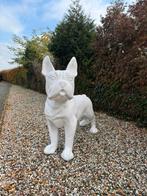 Grote witte hond – blikvanger voor tuin of interieur, Tuin en Terras, Ophalen, Kunststof