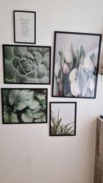 poster met frame, Ophalen, Zo goed als nieuw, A1 t/m A3, Dier of Natuur