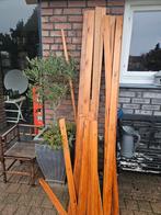 Rest  houten schrootjes, Ophalen, Minder dan 25 mm, Plank, Minder dan 200 cm