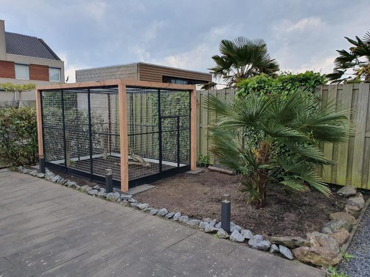 Aluminium voliere  | Parkiet, Kanarie, Zang- of Siervogels, Dieren en Toebehoren, Vogels | Hokken en Kooien, Ophalen of Verzenden