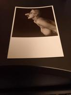 Kaart  Erwin Olaf . Desiree with glasses, Verzenden, 1980 tot heden, Ongelopen, Sterren en Beroemdheden